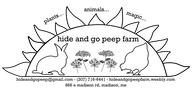 Hide and Go Peep Farm!